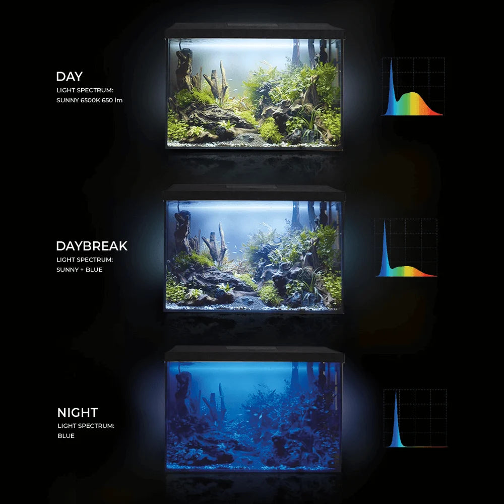 AquaEl Leddy XL 60 72L Aquarium Day & Night