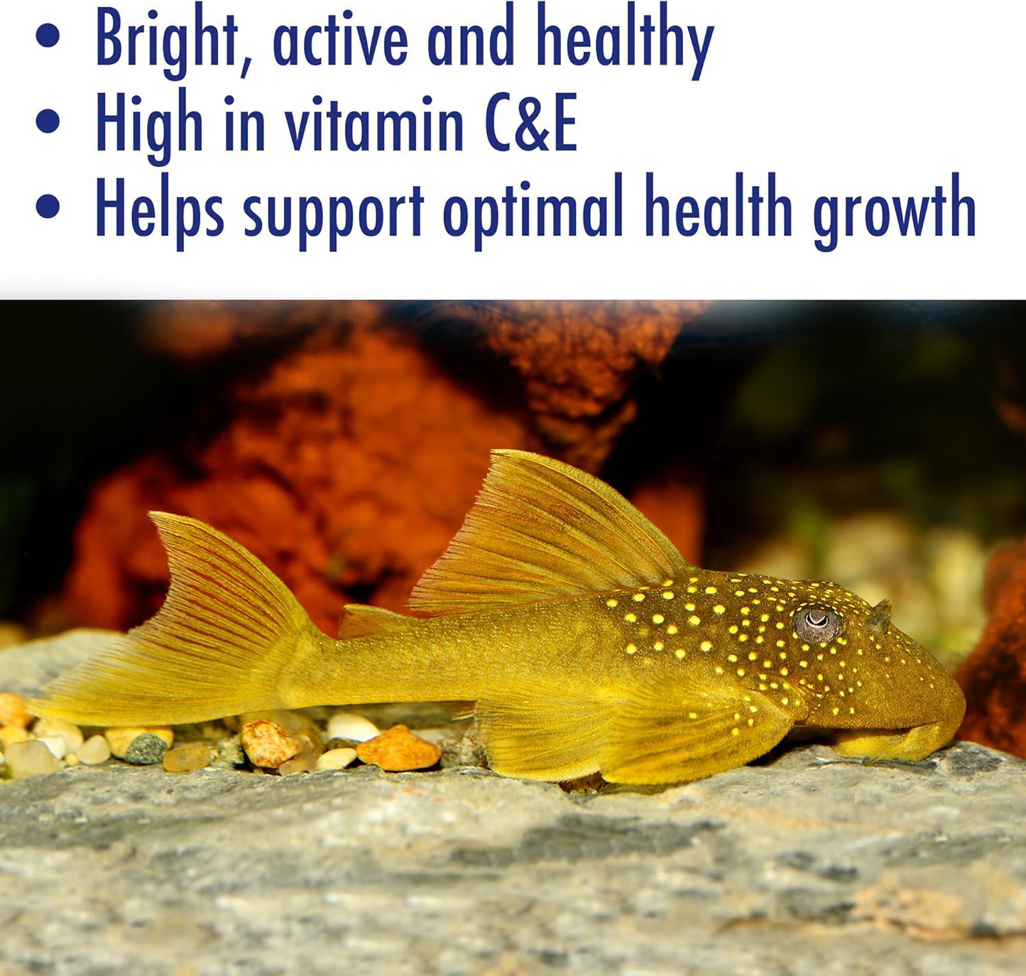 AQUARIAN ALGAE WAFER 255G