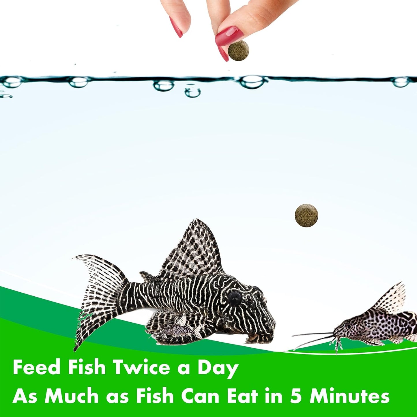 AQUARIAN ALGAE WAFER 255G
