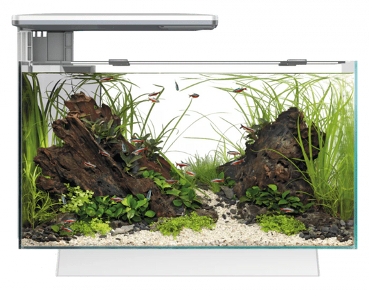 Superfish Quadro 40 Pro LED Aquarium