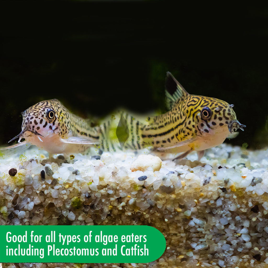 AQUARIAN ALGAE WAFER 85G