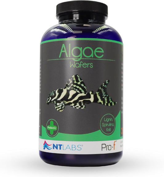 NT PRO-F ALGAE WAFERS 350G