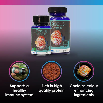 NT PRO-F DISCUS GRANULE 35G