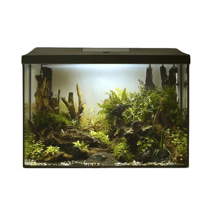 AquaEl Leddy XL 60 72L Aquarium Day & Night