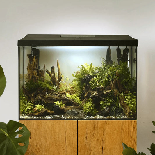 AquaEl Leddy XL 60 72L Aquarium Day & Night