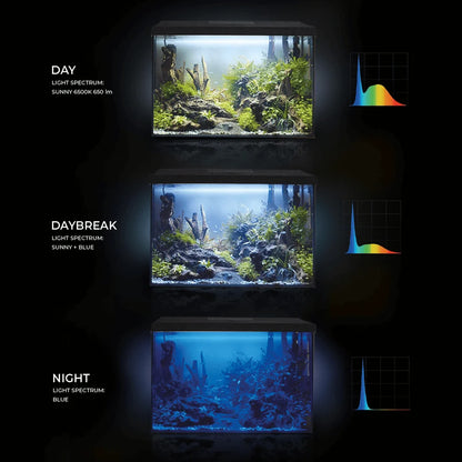 AquaEl Leddy XL 60 72L Aquarium Day & Night